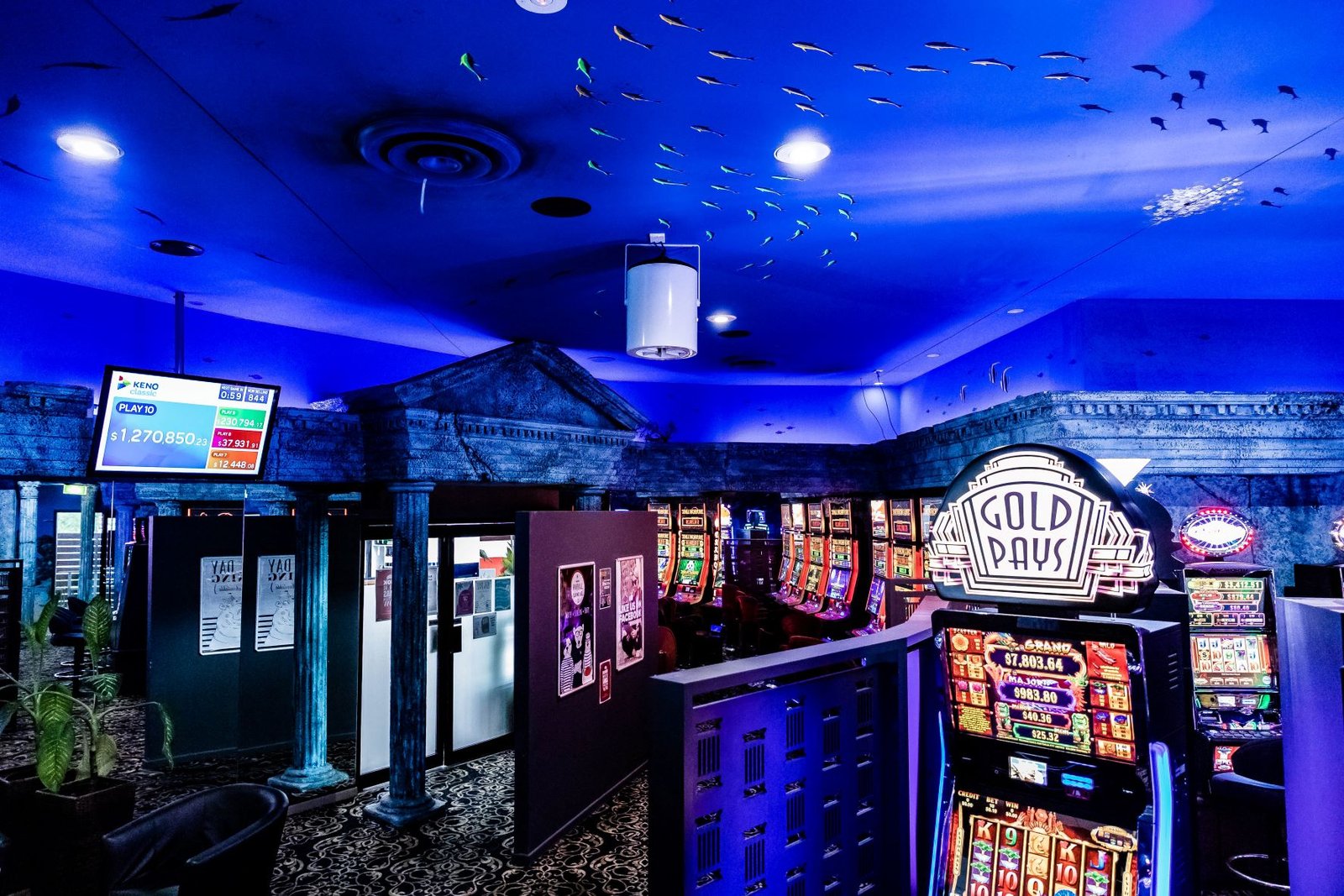The Boat Shed Coomera - The Pokies (Q50)